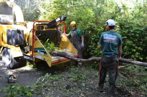 tree services Farmers Loop